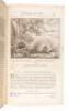 &AElig;sop's Fables with his Life: In English, French & Latin... Illustrated with One hundred and Twelve Sculptures by Francis Barlow - 10