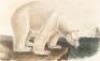 The Quadrupeds of North America - 10