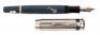 Charles Dickens Limited Edition Fountain Pen