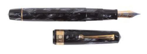 100th Year Commemorative of Cinema Limited Edition Fountain Pen