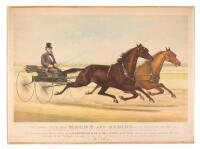 The Celebrated Trotting Mares Maud S. and Aldine, as they Appeared June 15th, 1883. At the Gentlemen's Driving Park, Morisania, N.Y. Driven by their Owner, William H. Vanderbilt, Esq.