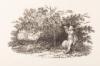 A Portfolio of Thomas Bewick Wood Engravings - 5