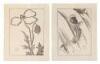 Ipswich Prints, Third Set: Reproductions of Japanese Ink Sketches - 3