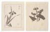 Ipswich Prints, Third Set: Reproductions of Japanese Ink Sketches - 4