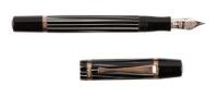 Nazionale Flex Zebra Celluloid and Sterling Silver Fountain Pen