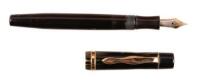 No. 122 PL (Platinum-Lined) Celluloid Fountain Pen