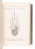 The Voyage of the "Challenger": The Atlantic. A Preliminary Account of the General Results of the Exploring Voyage of H.M.S. "Challenger" During the Year 1873 and the Early Part of the Year 1876 - 3