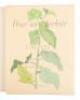 Pour un herbier - 2
