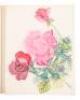 Pour un herbier - 4