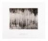 Ansel Adams at 100 - 5