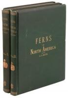The Ferns of North America: Colored Figures and Descriptions