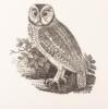 A Portfolio of Thomas Bewick Wood Engravings - 8