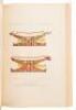 Lot of three annual reports form the Bureau of American Ethnology - 4
