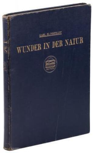 Wunder in der Natur: Bild-Dokumente Sch&ouml;ner Pflanzenformen