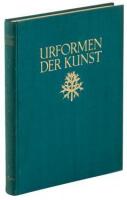 Urformen der Kunst: Photographische Planzenbilder von Professor Karl Blossfeldt