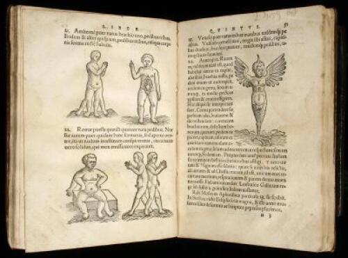 De Conceptu & Generatione Hominis...Libri Sex, congesti opera Jacobi Rueff, Chirurgi Tigurini