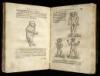 De Conceptu & Generatione Hominis...Libri Sex, congesti opera Jacobi Rueff, Chirurgi Tigurini - 3