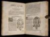 De Conceptu & Generatione Hominis...Libri Sex, congesti opera Jacobi Rueff, Chirurgi Tigurini - 5