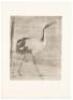 Masterpieces of Sung and Yuan Paintings - 5