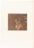 Seizans&ocirc; Seish&ocirc;: (Illustrated Catalogue of the Nezu Collection) - 8