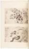 Soraikan kinsho - 3