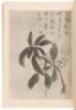 [Southern Painting Dacheng] - 6