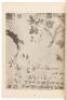 [Southern Painting Dacheng] - 7
