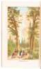 Beauties of California: Including Big Trees, Yosemite Valley, Geysers, lake Tahoe, Donner Lake, S.F. '49 & '83., Etc. - 8