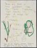 Autograph Letter, signed to Linda Nanz - with sketch and abstract drawings