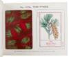 Fireside Card Games. Highly Enameled and Finished. Catalogue No. 1 England - 2