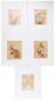 14 matted albumen photographs of floral wreaths