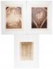 26 mammoth albumen prints from Nobile Collegio del Cambio Perugia portfolio - 7