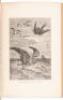 Twenty Thousand Leagues Under the Seas; or, the Marvellous and Exciting Adventures of Pierre Aronnax, Conseil His Servant, and Ned Land, a Canadian Harpooner - 6