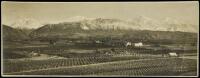 Gelatin silver photograph panorama of winery near San Dimas, California, with snow-covered mountains in distance