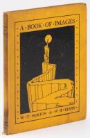 A Book of Images