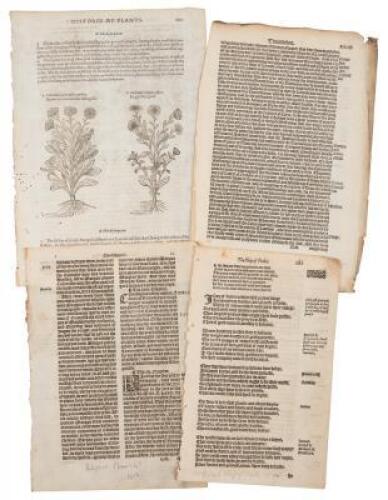 Four leaves from 16th century English books