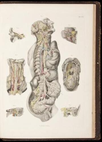 Atlas of Human Anatomy, with Explanatory Text