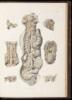 Atlas of Human Anatomy, with Explanatory Text
