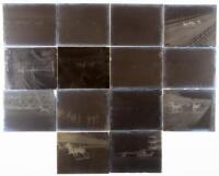 Glass plate negatives of the Ingleside Racetrack