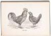 Seven volumes on chicken and poultry production - 5