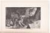 The Jungle Book - 5