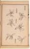 Kaishi Zugafu Ni-Shu [The Mustard Seed Garden Manual of Painting, 2nd Collection] - 4