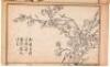 Kaishi Zugafu Ni-Shu [The Mustard Seed Garden Manual of Painting, 2nd Collection] - 8
