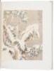 Chinese Painting in Hawaii - 3