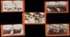 Five stereo views of scenes from the Alaska Gold Rush