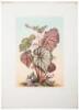 Les Promenades de Paris: Histoire, Description des Embellissements, Depenses de Creation et d'Entretien des Bois de Boulogne et de Vincennes, Champs-Elysees, Parcs, Squares, Boulevards, Places Plantees - 5