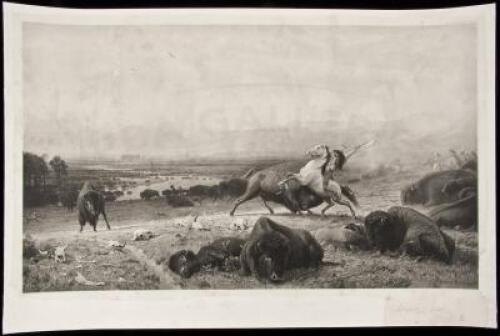 The Last of the Buffalo - photogravure