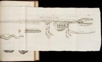 Musaeum Regalis Societatis. Or, A Catalogue & Description of the Natural and Artificial Rarities Belonging to the Royal Society and Preserved at Gresham Colledge...Whereunto is Subjoyned the Comparative Anatomy of Stomach and Guts