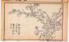 Jiezi yuan huapu, er ji (Manual of the Mustard Seed Garden, second collection) - 8