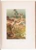Our Living World; An Artistic Edition of the Rev. J. G. Wood's Natural History of Animate Creation - 4